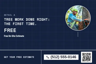 Blueprint · Photo Frame: Tree Work Done Right: The First Time.