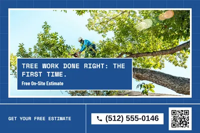 Blueprint · Photo Hero: Tree Work Done Right: The First Time.