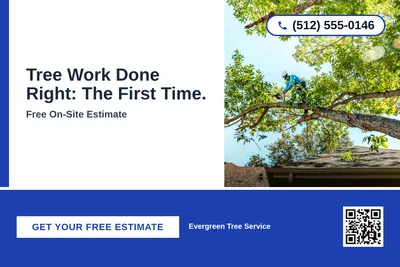 Bold Color Block · Bottom Bar: Tree Work Done Right: The First Time.