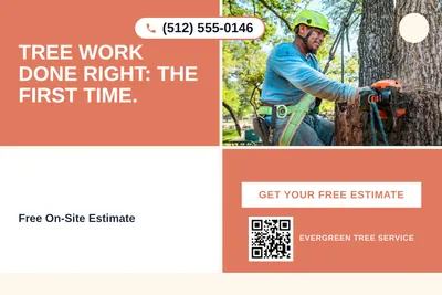 Bold Color Block · Checkerboard: Tree Work Done Right: The First Time.