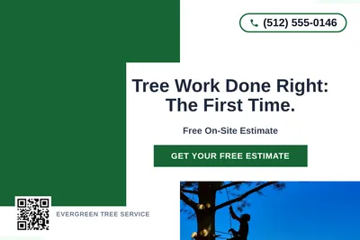 Bold Color Block · Corner Accent: Tree Work Done Right: The First Time.