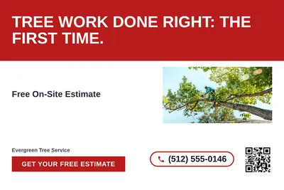 Bold Color Block · Horizontal Bands: Tree Work Done Right: The First Time.