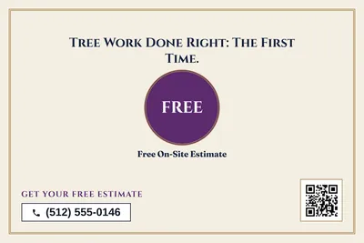 Classic · Big Offer: Tree Work Done Right: The First Time.