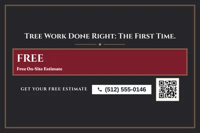 Classic · Offer Menu: Tree Work Done Right: The First Time.