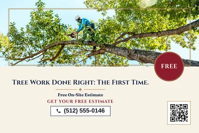 Classic · Photo Hero: Tree Work Done Right: The First Time.