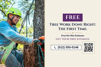 Classic · Split: Tree Work Done Right: The First Time.