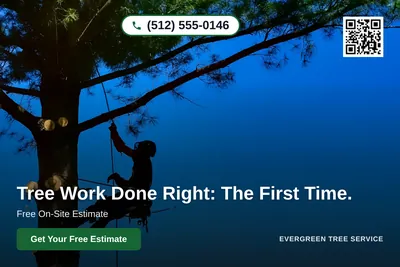 Clean Photo · Full Photo Overlay: Tree Work Done Right: The First Time.