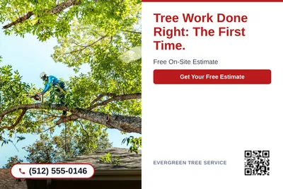 Clean Photo · Photo Left, Text Right: Tree Work Done Right: The First Time.