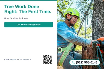 Clean Photo · Text Left, Photo Right: Tree Work Done Right: The First Time.