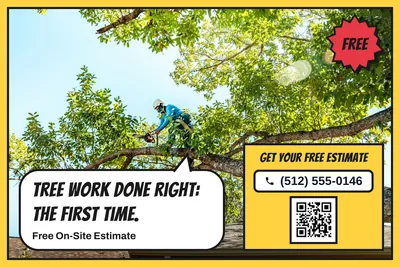 Comic pop · Photo Hero: Tree Work Done Right: The First Time.