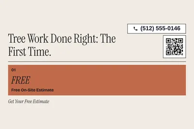 Contemporary · Offer Menu: Tree Work Done Right: The First Time.