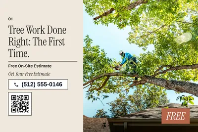 Contemporary · Photo Hero: Tree Work Done Right: The First Time.