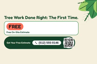 Jungle · Checklist: Tree Work Done Right: The First Time.