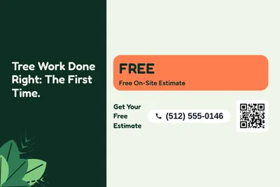 Jungle · Offer Menu: Tree Work Done Right: The First Time.