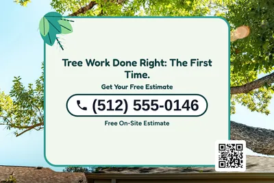 Jungle · Phone Billboard: Tree Work Done Right: The First Time.