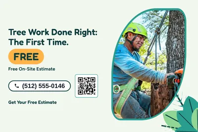 Jungle · Photo Frame: Tree Work Done Right: The First Time.