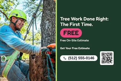 Jungle · Split: Tree Work Done Right: The First Time.