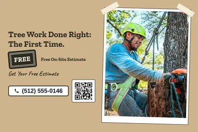Kraft and stamp · Split: Tree Work Done Right: The First Time.