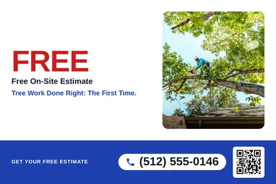 Local Offer · Big Offer: Tree Work Done Right: The First Time.