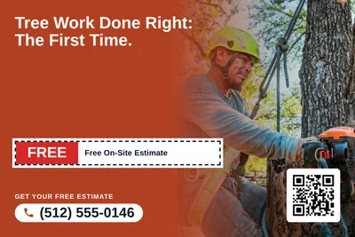 Local Offer · Coupon: Tree Work Done Right: The First Time.