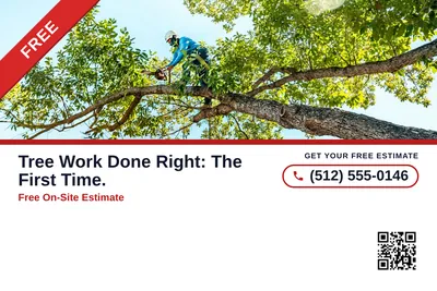 Local Offer · Ribbon and Stack: Tree Work Done Right: The First Time.