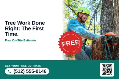 Local Offer · Seal and Photo: Tree Work Done Right: The First Time.