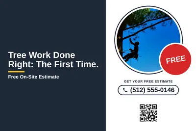 Local Offer · Split Panel: Tree Work Done Right: The First Time.