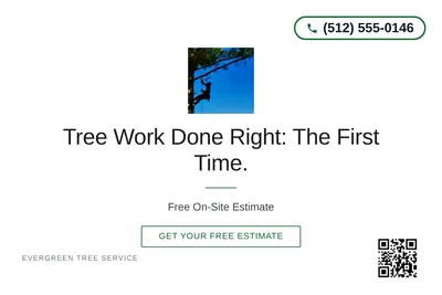 Minimal White · Centered Elegant: Tree Work Done Right: The First Time.