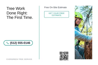 Minimal White · Split Vertical: Tree Work Done Right: The First Time.