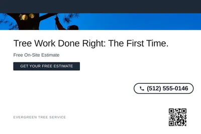 Minimal White · Top Bar: Tree Work Done Right: The First Time.
