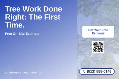 Modern Gradient · Asymmetric Blocks: Tree Work Done Right: The First Time.