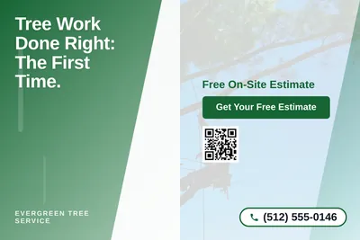 Modern Gradient · Diagonal Split: Tree Work Done Right: The First Time.