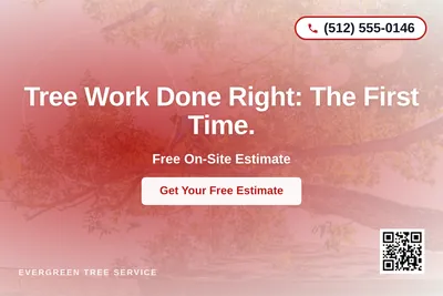 Modern Gradient · Radial Burst: Tree Work Done Right: The First Time.