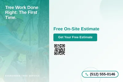 Modern Gradient · Side Stripe: Tree Work Done Right: The First Time.