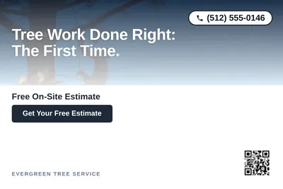 Modern Gradient · Top-Down Fade: Tree Work Done Right: The First Time.