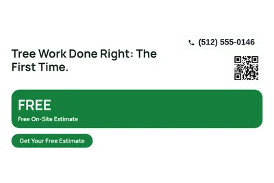 Modern · Offer Menu: Tree Work Done Right: The First Time.