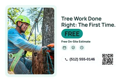 Modern · Photo Frame: Tree Work Done Right: The First Time.