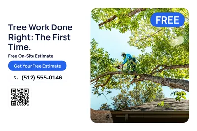 Modern · Photo Hero: Tree Work Done Right: The First Time.