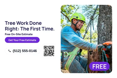 Modern · Split: Tree Work Done Right: The First Time.