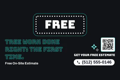 Neon night · Big Offer: Tree Work Done Right: The First Time.
