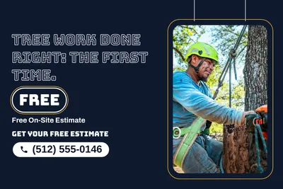 Neon night · Photo Frame: Tree Work Done Right: The First Time.