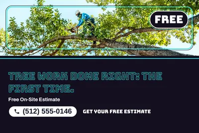 Neon night · Photo Hero: Tree Work Done Right: The First Time.