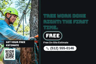 Neon night · Split: Tree Work Done Right: The First Time.