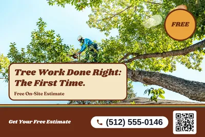 Retro 70s · Photo Hero: Tree Work Done Right: The First Time.