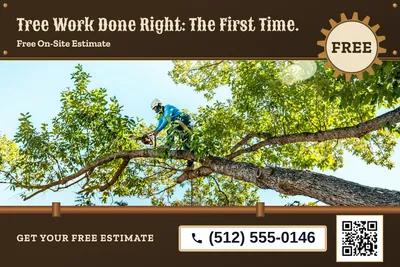 Steampunk · Photo Hero: Tree Work Done Right: The First Time.