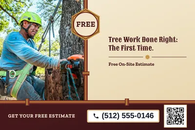 Steampunk · Split: Tree Work Done Right: The First Time.