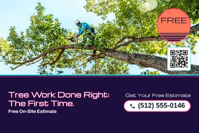 Synthwave · Photo Hero: Tree Work Done Right: The First Time.
