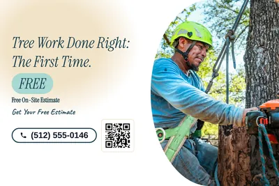 Soft watercolour · Split: Tree Work Done Right: The First Time.