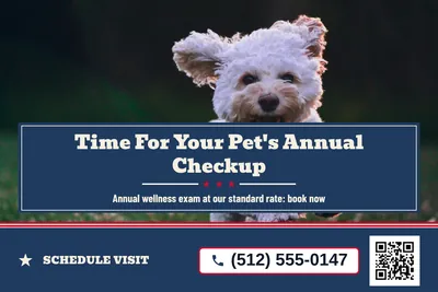 Vintage Americana · Photo Hero: Time For Your Pet's Annual Checkup
