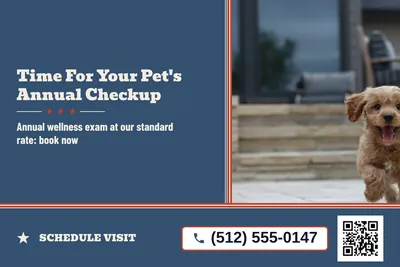 Vintage Americana · Split: Time For Your Pet's Annual Checkup